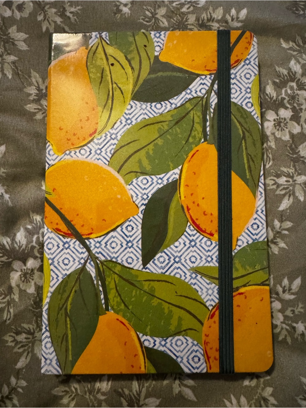 Moleskin - Lemon Elastic Closure Journal